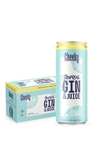 CHEEKY Hard Iced Tea Gin & Juice 10PK 250ml  (250ml)